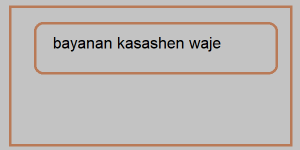 bayanan kasashen waje