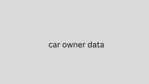 car owner data