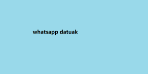 whatsapp datuak