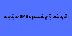 အစုလိုက် SMS ဝန်ဆောင်မှုကို ဝယ်ယူပါ။